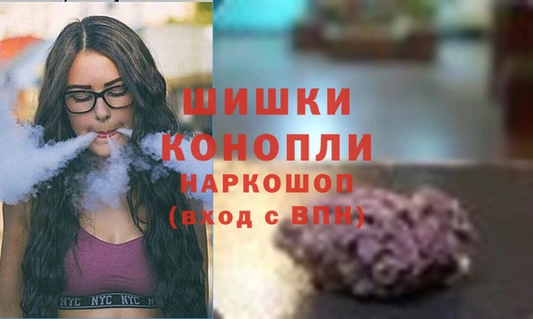 стаф Магас
