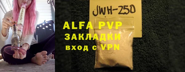 стаф Магас
