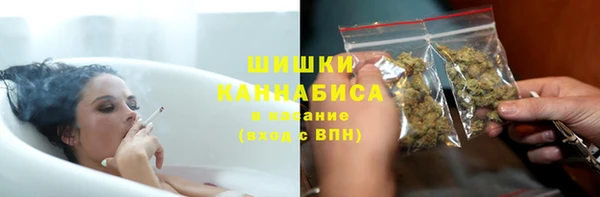 стаф Магас