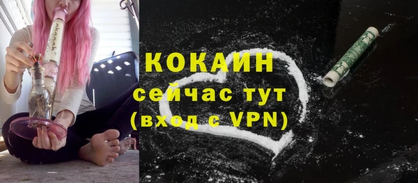 стаф Магас