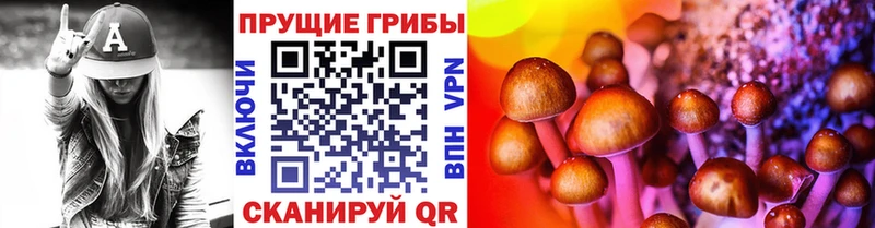 Псилоцибиновые грибы прущие грибы  Нолинск 